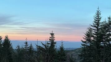 Un paysage boisé offrant une vue sur l’océan au coucher du soleil.