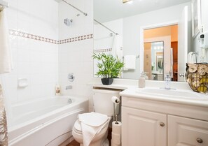 Hair dryer, towels, soap, toilet paper