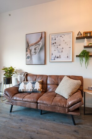 تلفزيون ذكي، مدفأة