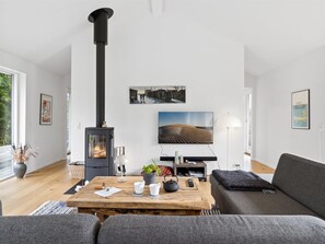 Fernseher, Kamin