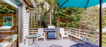 Dog-friendly ocean-view duplex with wood stoves, decks, grills, kitchens, ACs