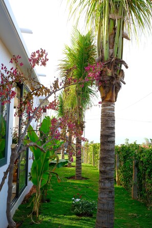 50-inch LCD TV with cable channels, Netflix, streaming services