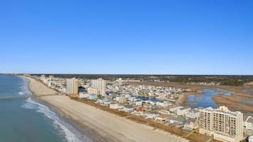 在海滩、沙滩椅