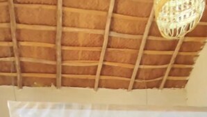 Ảnh chưa phân loại, 5 trong số 7 ảnh, nút