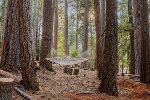 Property grounds - NEW - Lassen Tree Cabin with Hot Tub (Shingletown)