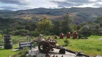 Áreas de la propiedad