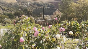 A garden with blooming flowers and a view of terraced fields in the background. - Casa Maria (Penalva do Castelo)