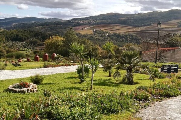 Property grounds - Casa Penalva (Penalva do Castelo)