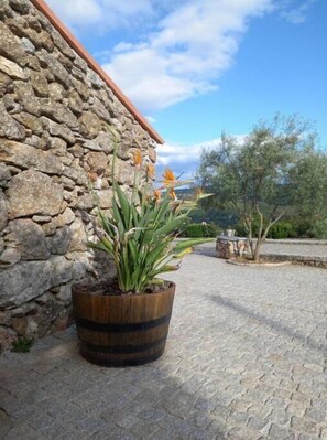 Property grounds - Casa Penalva (Penalva do Castelo)