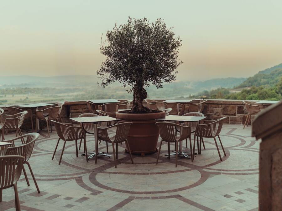 An outdoor seating area with tables and chairs arranged around a central tree.