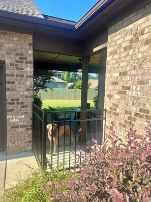 Guests can enjoy an outdoor space with a metal gate and patio, surrounded by a lawn and wooden fence.