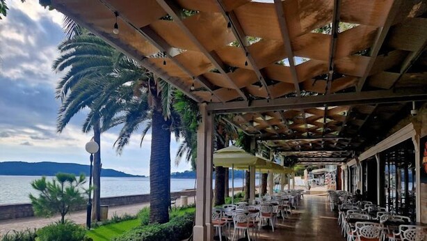Un patio al aire libre con mesas y sillas, vista al mar y palmeras.