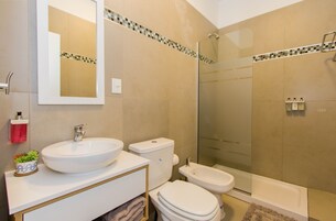 Ducha, cabezal de ducha tipo lluvia, secador de pelo, bidet