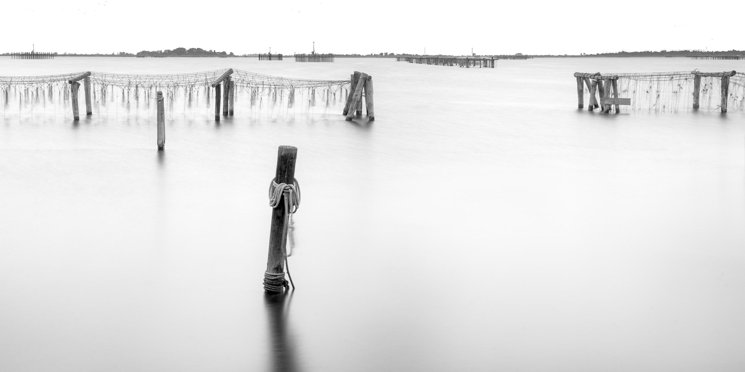 A tranquil waterfront scene with a wooden pier extending into calm water, surrounded by a netted barrier.