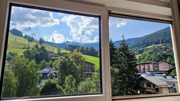 Apartment, 1 Schlafzimmer, Bergblick | Bügeleisen/Bügelbrett, kostenloses WLAN
