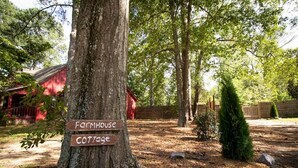 A tree with signs pointing to 'Farmhouse' and 'Cottage'.