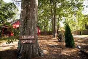 A tree with signs pointing to 'Farmhouse' and 'Cottage'. - Farmhouse & Cottage near DT, USC (Lexington County)