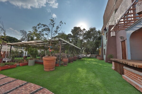Terrace/patio - Jaime Torres Bodet 139 (Mexico City)