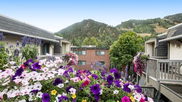 Pemandangan dari properti