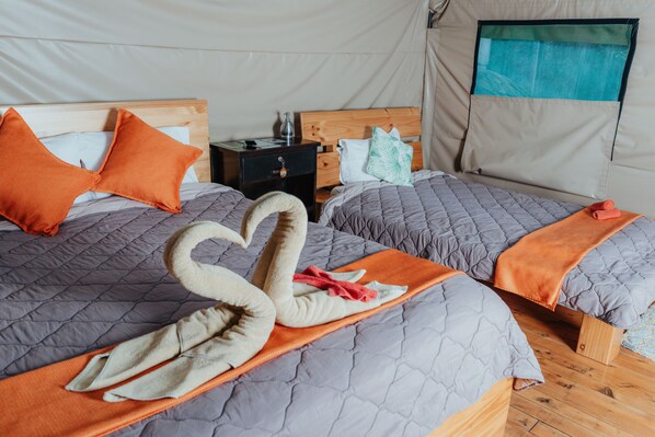 Une chambre avec deux lits, chacun doté d’une tête de lit en bois et d’une literie grise. Une table de chevet se trouve entre les deux lits, avec une lampe et un petit tiroir.
