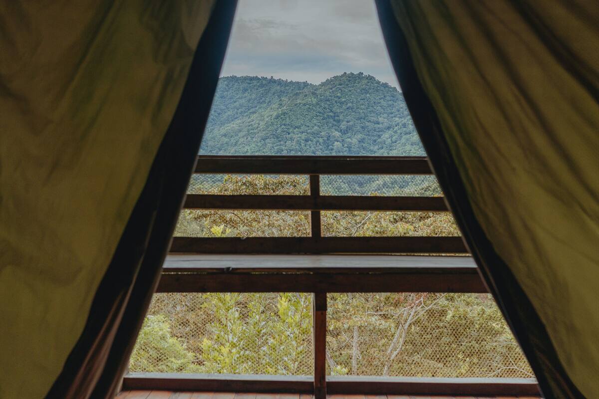 Una habitación con piso de madera y vistas al exterior a través de una ventana con cortinas.