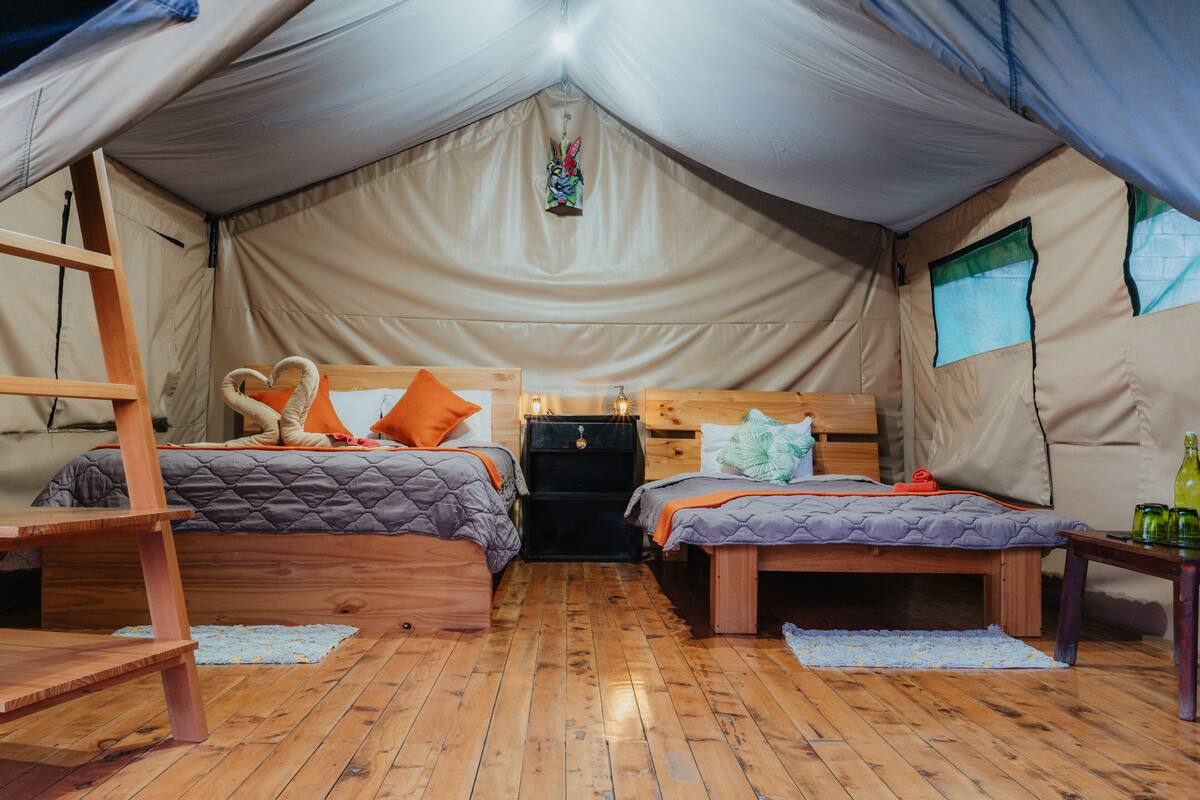 Un alojamiento con carpa que incluye dos camas, una escalera de madera y una pequeña mesa con botellas.