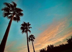 Exterior - The Olives Sanctuary (Marrakech)