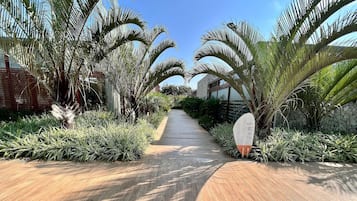 Apartamento | Área da propriedade