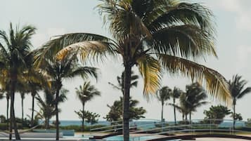 5 albercas al aire libre y camas balinesas gratuitas