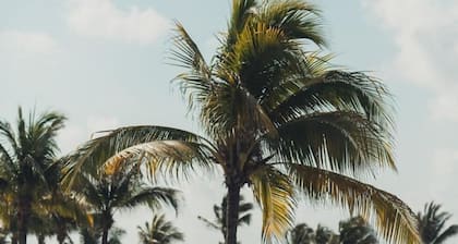Mareazul