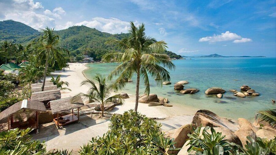 New seahorse residence