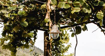 Cozy Vina Kobal / Kobal Family Estate Apartments in Štanjel, Karst