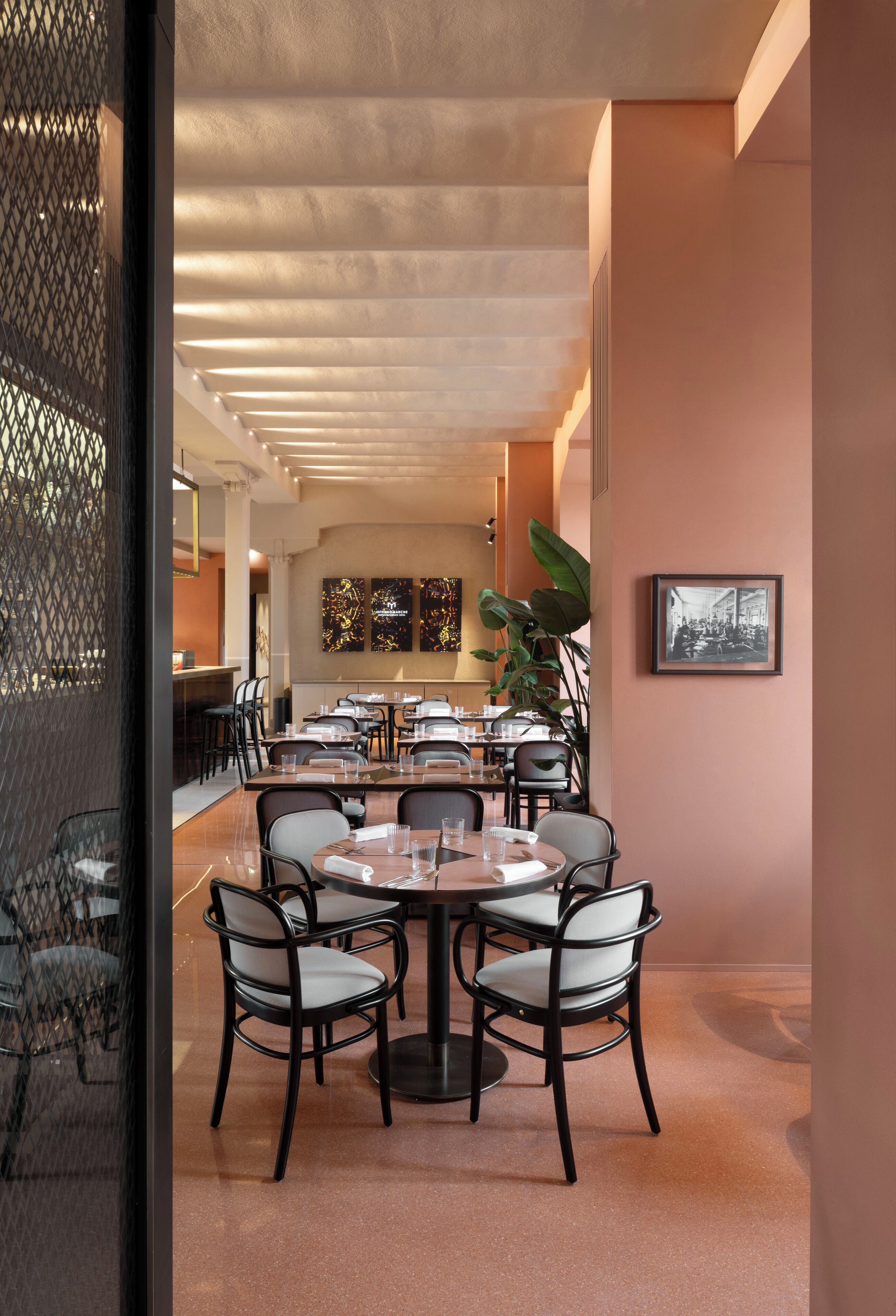A modern dining area with round tables and chairs, a long counter, and a large plant.