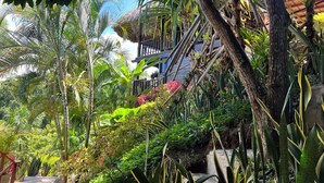 A lush garden with a variety of tropical plants and a wooden staircase leading to a building with balconies. - Villa tayrona (Santa Marta)