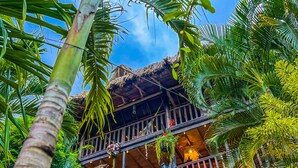A rustic building with a thatched roof, surrounded by lush greenery and palm trees. - Villa tayrona (Santa Marta)