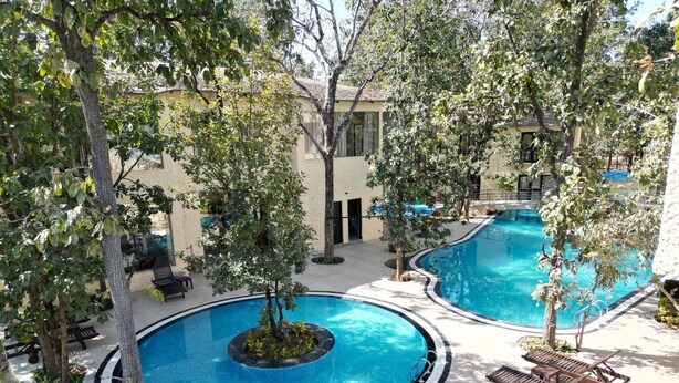 Un espace piscine comprenant deux piscines circulaires, entourées d’arbres et de chaises longues.