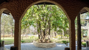 Un espace extérieur en forme d’arche, avec un arbre au centre, entouré d’un jardinière en pierre.