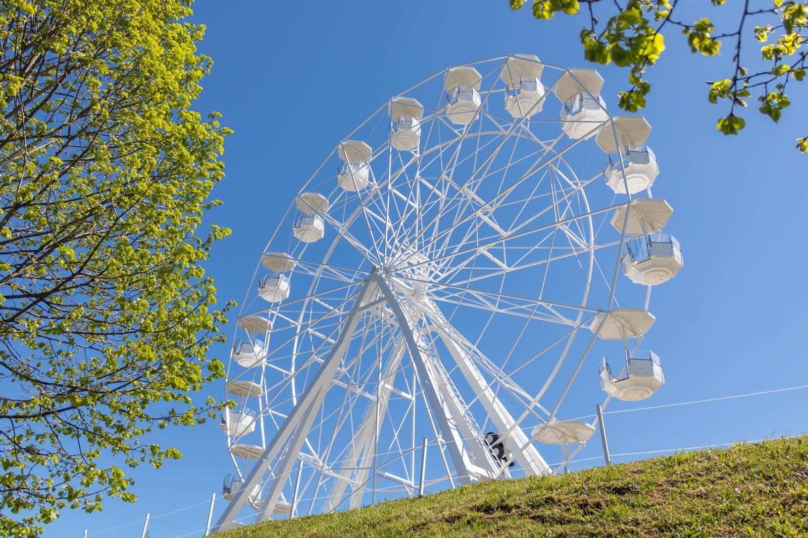 A large Ferris wheel with a clear sky and green foliage in the foreground.
