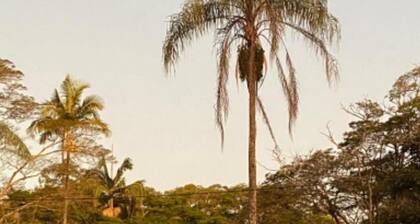 Magnífico Rancho em Jarinu