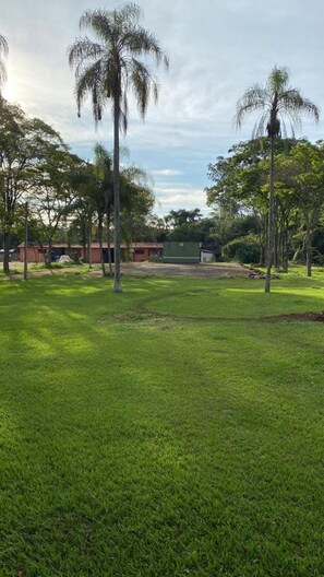 Um campo gramado com palmeiras e um edifício ao fundo.