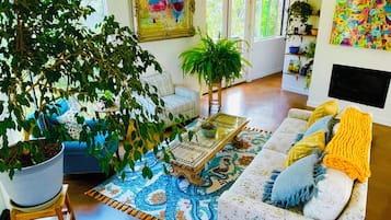 Smart TV, fireplace, books