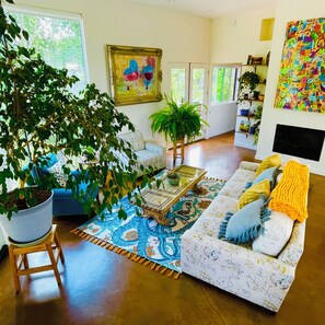 Smart TV, fireplace, books