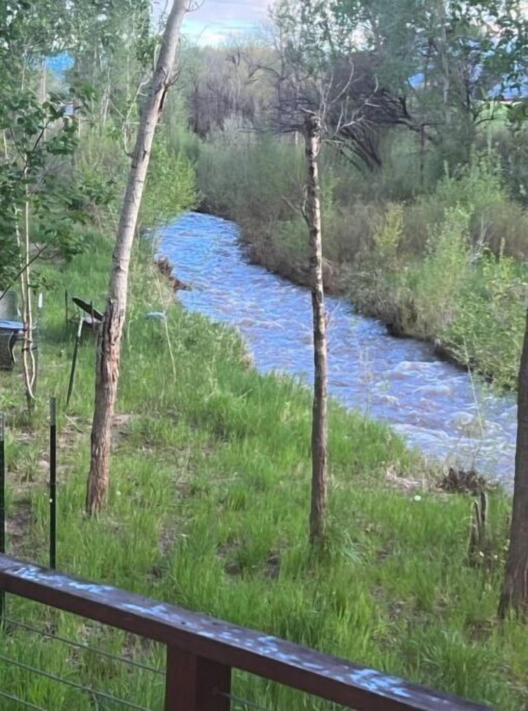 Ein Fluss fließt durch eine natürliche Landschaft mit Bäumen und einem Zaun im Vordergrund.