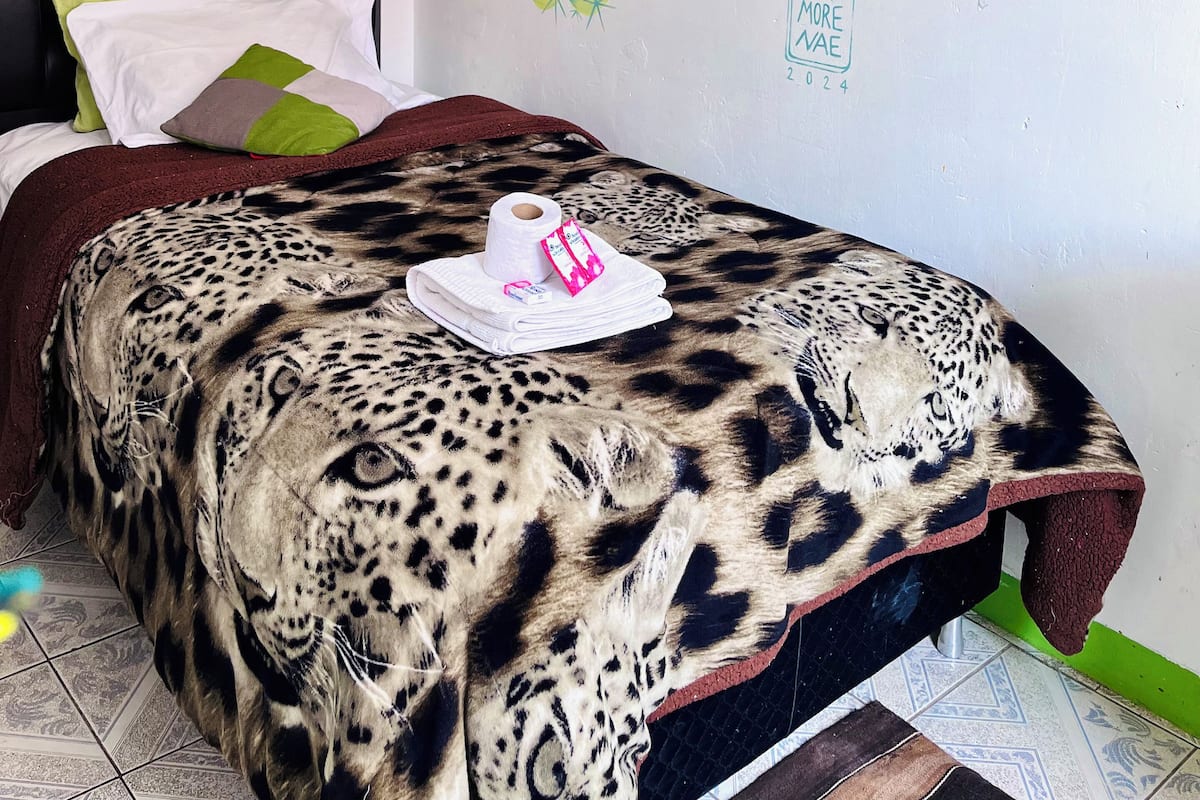 A bed with a leopard print cover, a cactus mural, and a flower mural on the wall.
