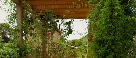 Hồ tập bơi