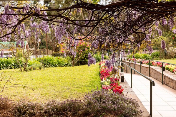 Property grounds - Incrível Vista com 4 Quartos e Lareira (Campos do Jordão)