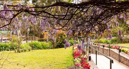 Incrível Vista com 4 Quartos e Lareira