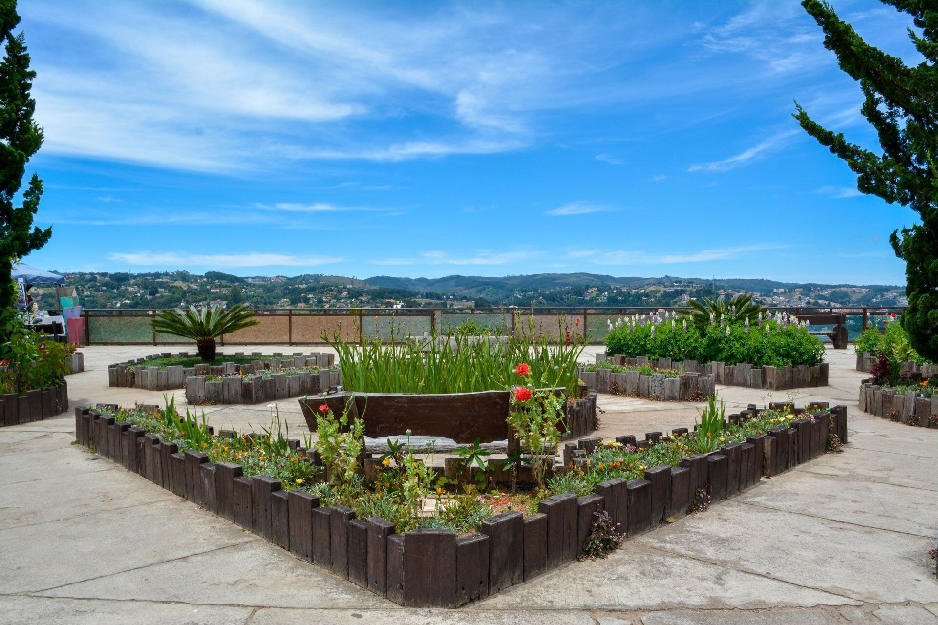 A rooftop garden with a wooden bench, surrounded by raised flower beds and various plants.
