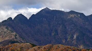 A mountainous landscape with dense forest and rocky terrain.