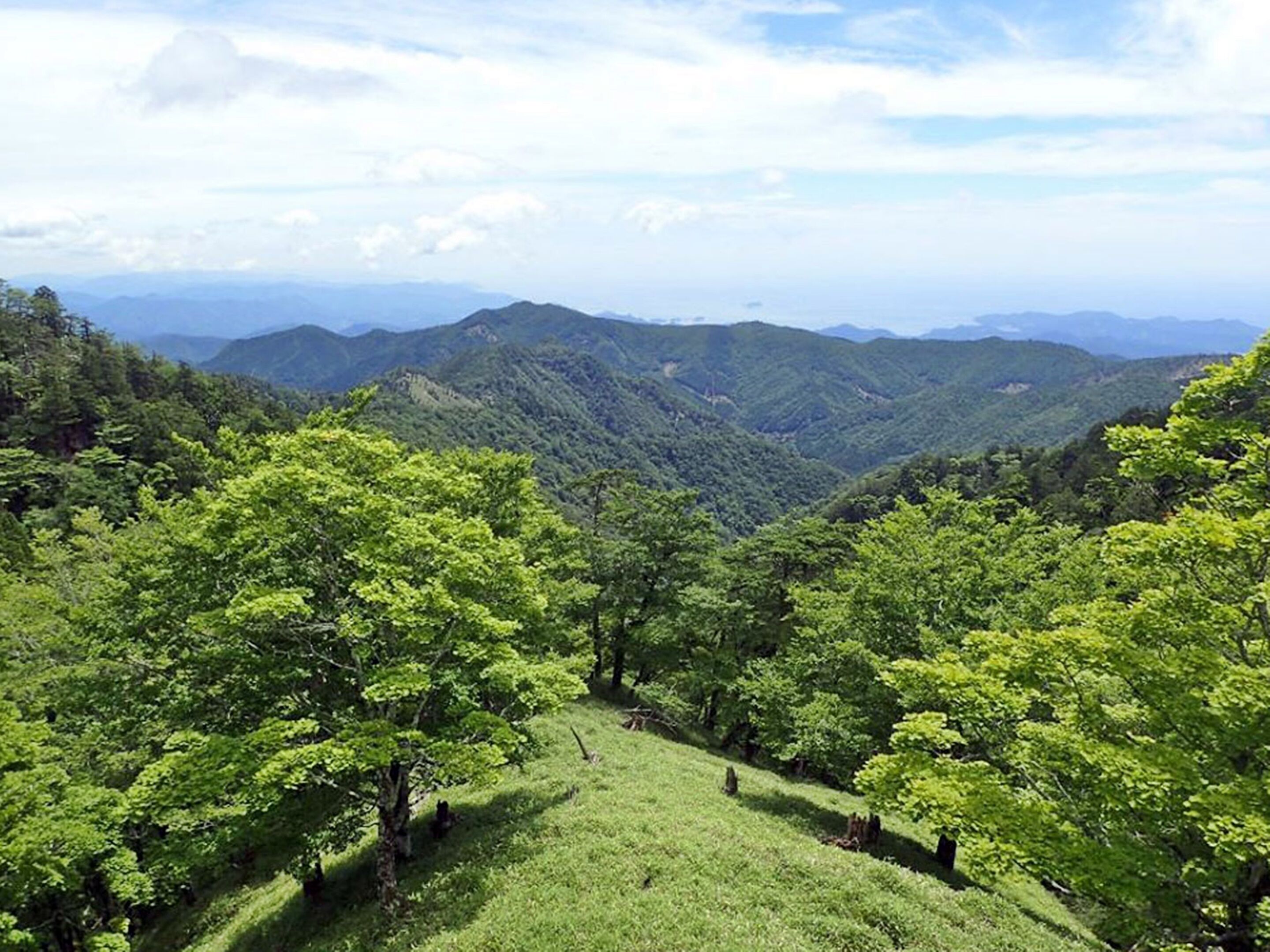 A mountainous landscape with lush green trees and a clear sky.